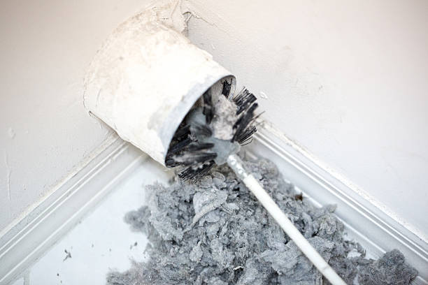 Best Air Duct Cleaning Company Near Me  in Panora, IA