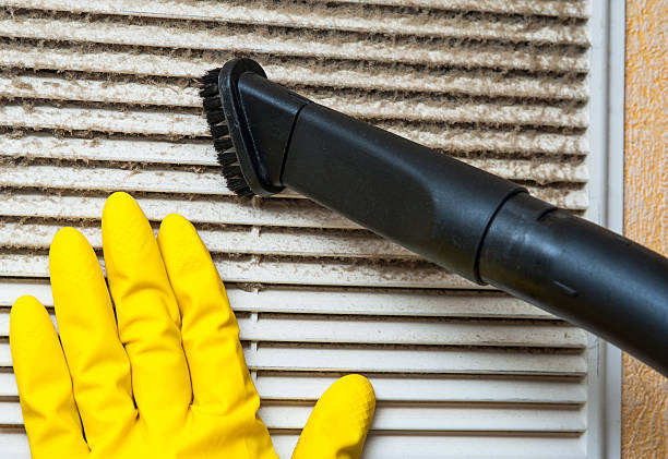 Best HVAC Duct Inspection Services  in Panora, IA